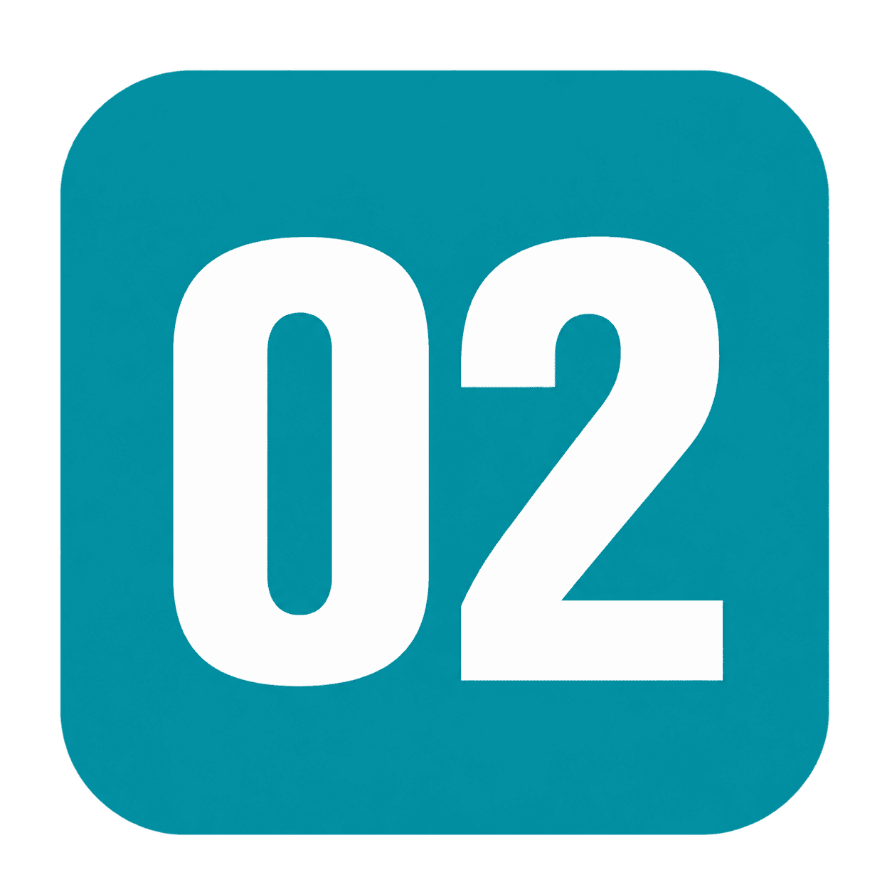 02 Icon 02 Icon