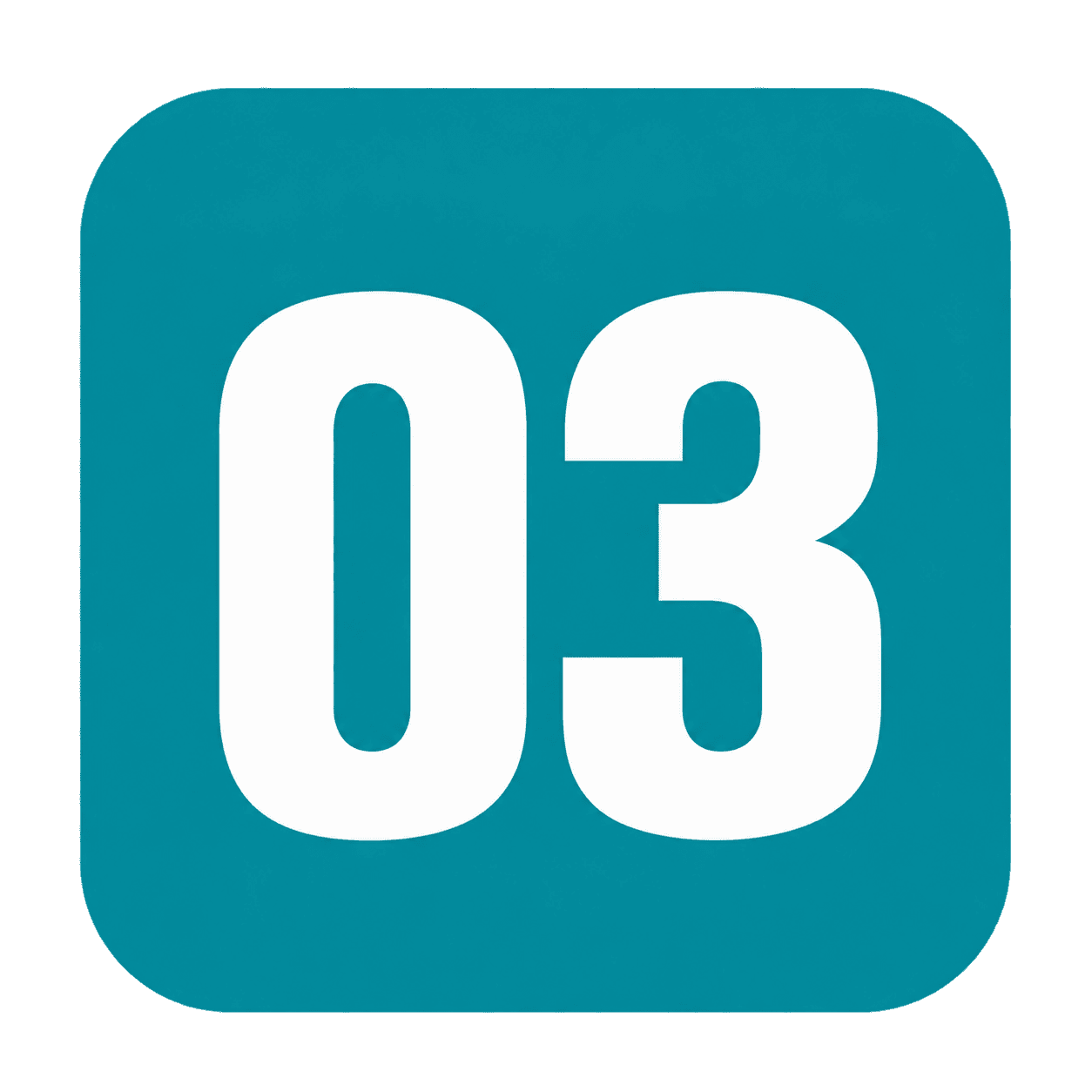 03 Icon